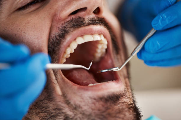 Best Traditional Braces  in Ossian, IN